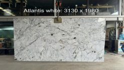 Atlantis White