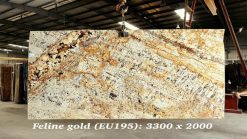 Feline Gold